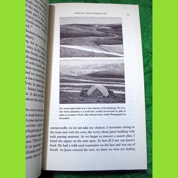 Book -  Your Inner Fish: A 3.5-Billion-Year History of the Human Body - Picture 9 of 14